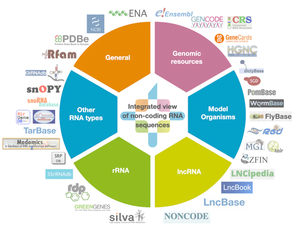 Expert databases integrated into RNAcentral